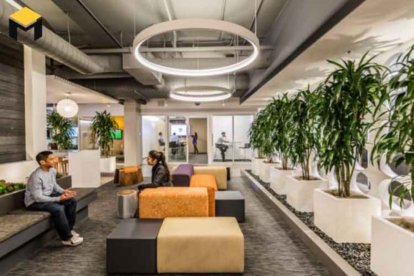 طراحی اداری بیوفیلیک چیست