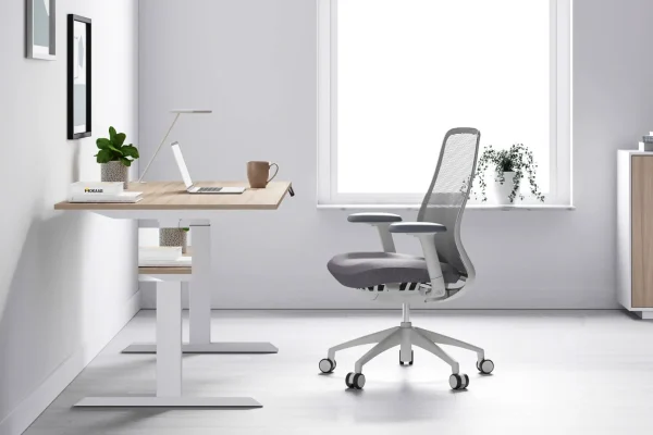 expert vs management desks