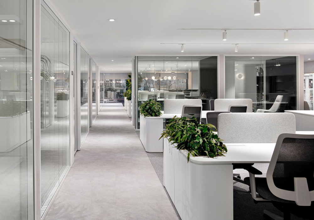 مینیمالیسم برای سازمانها