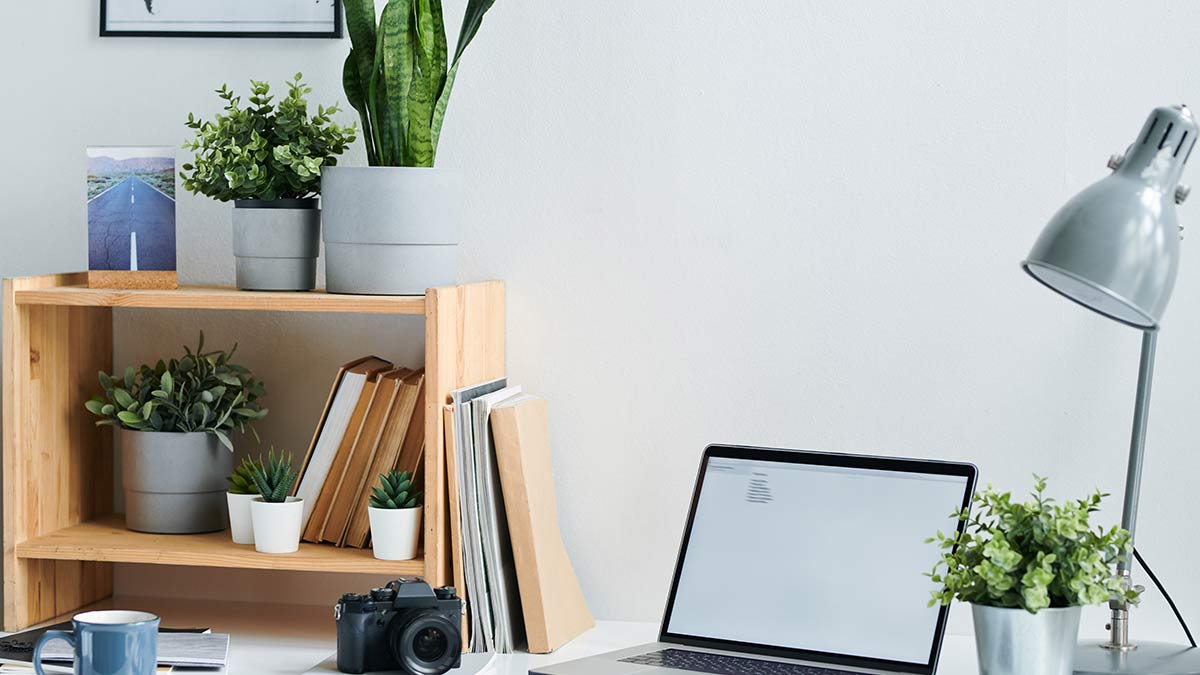 گیاهان در دفتر کار خانگی